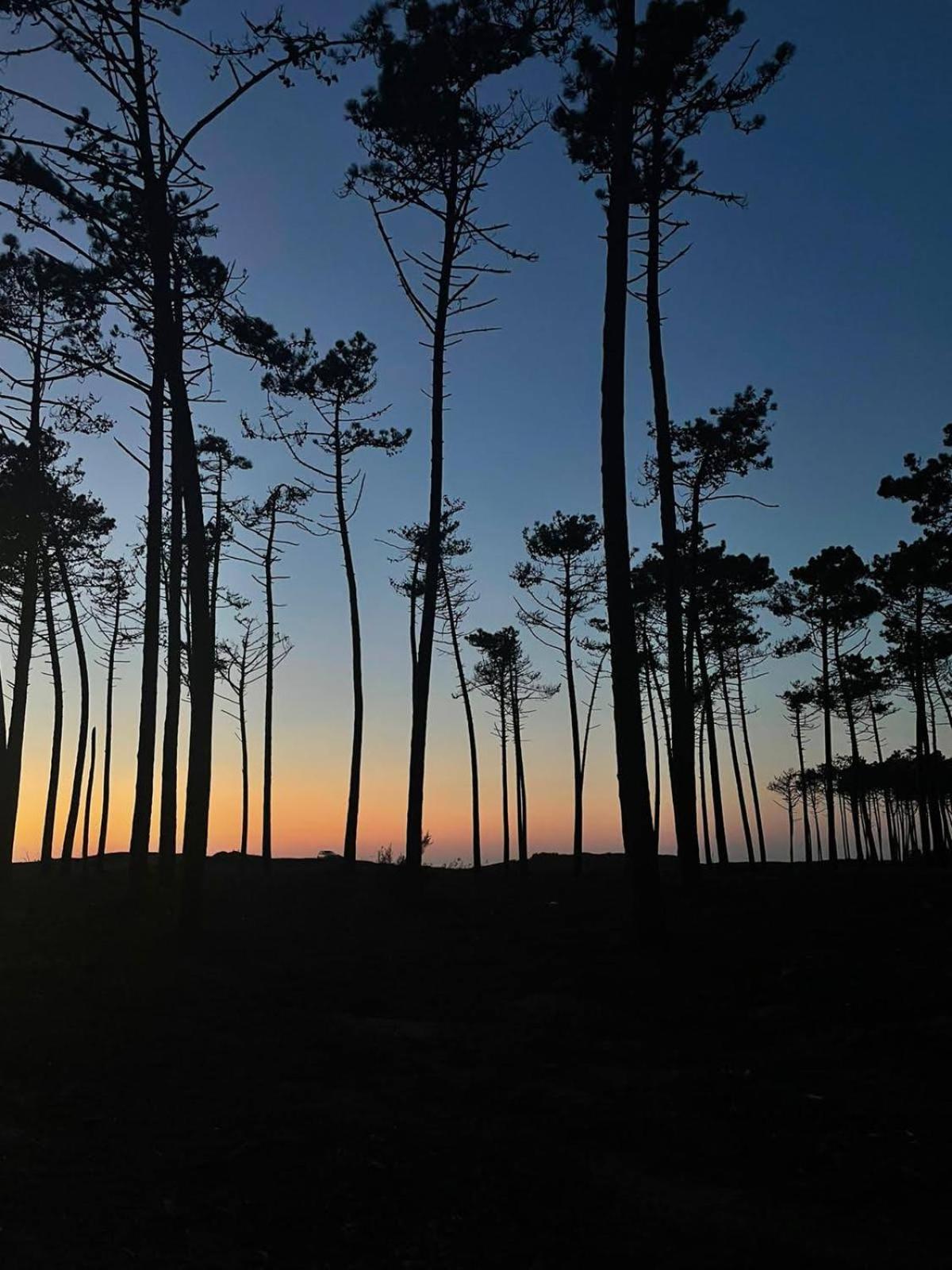 Вілла Maceda Surf Camp Екстер'єр фото